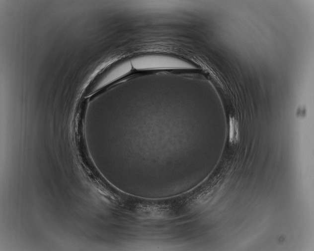 X0000098000723200804021031