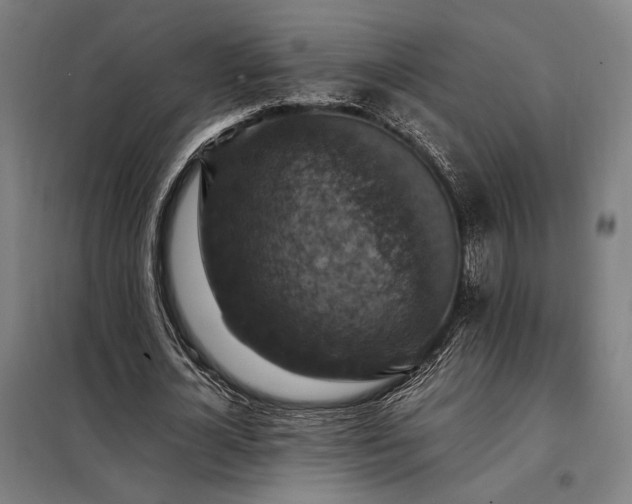 X0000098000724200804021031