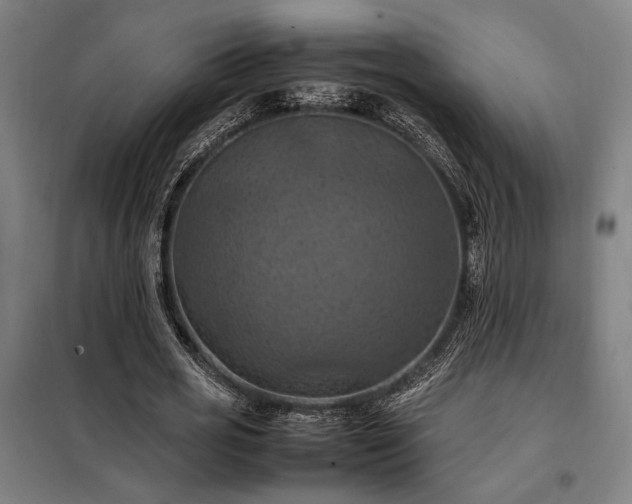 X0000098000725200804021031