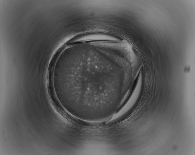 X0000098000726200804021031