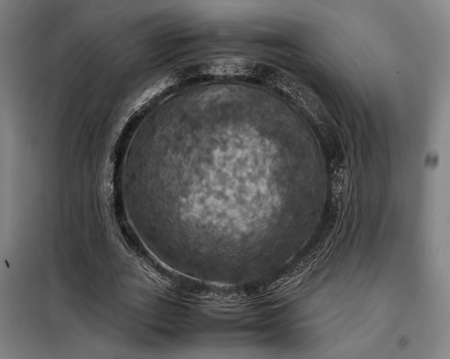 X0000098000727200804021031