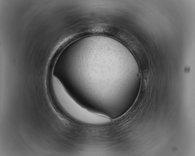 X0000098000728200804021031