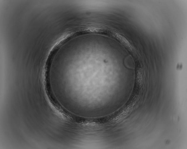 X0000098000730200804021031