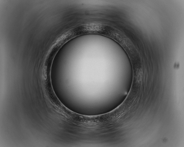X0000098000731200804021031