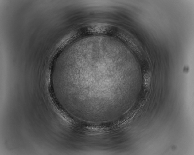 X0000098000733200804021031