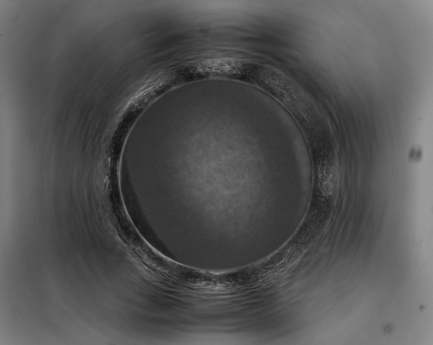 X0000098000735200804021031