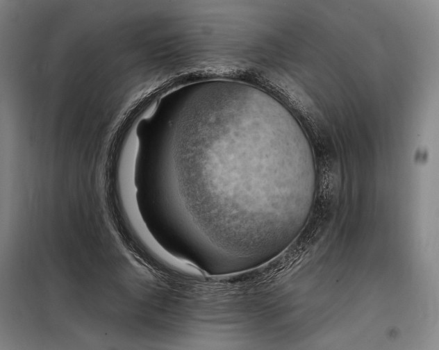 X0000098000736200804021031