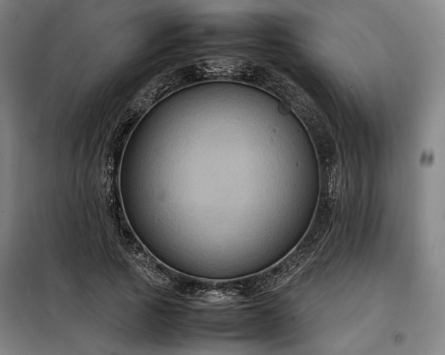 X0000098000737200804021031