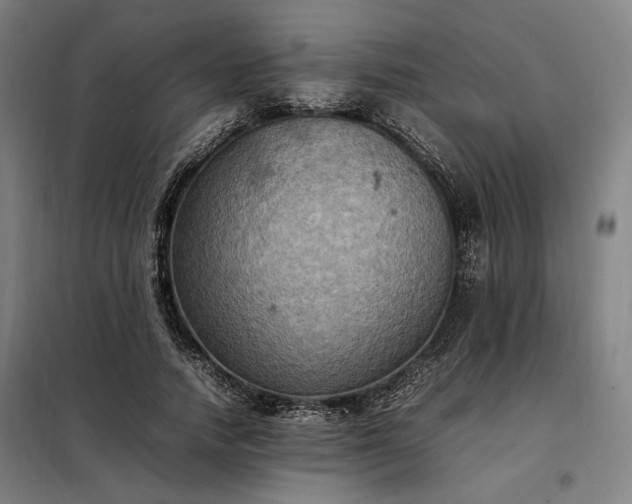 X0000098000738200804021031