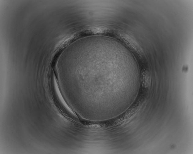 X0000098000740200804021031