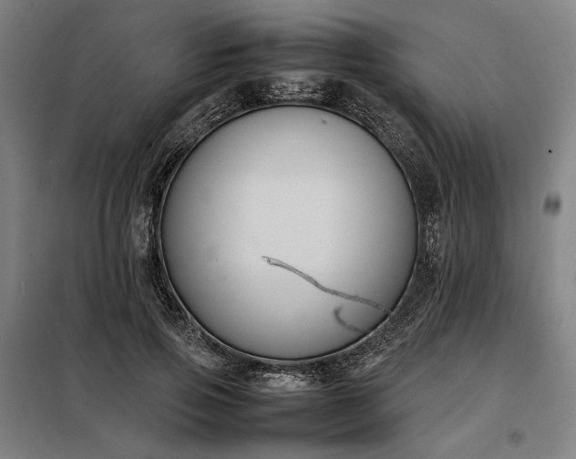 X0000098000741200804021031