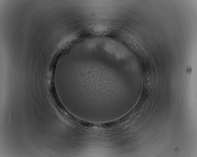 X0000098000742200804021031