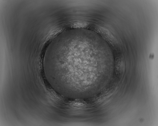 X0000098000743200804021031