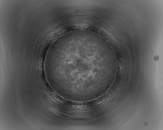X0000098000745200804021031
