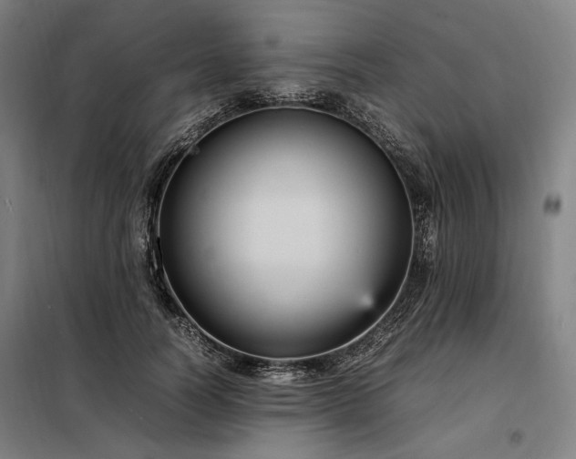 X0000098000746200804021031