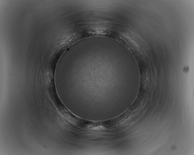 X0000098000747200804021031