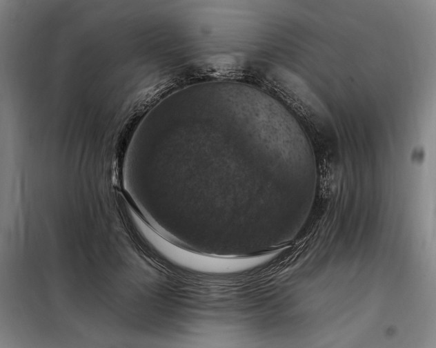 X0000098000748200804021031