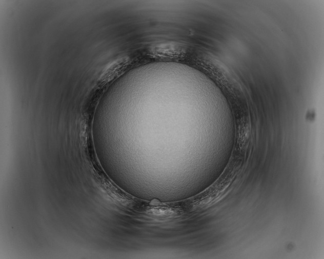 X0000098000749200804021031