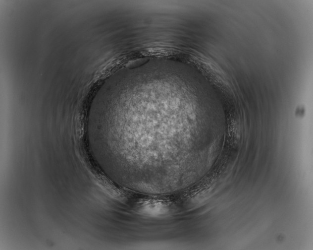 X0000098000751200804021031