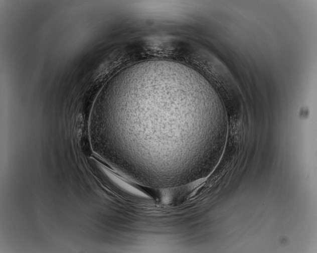 X0000098000752200804021031