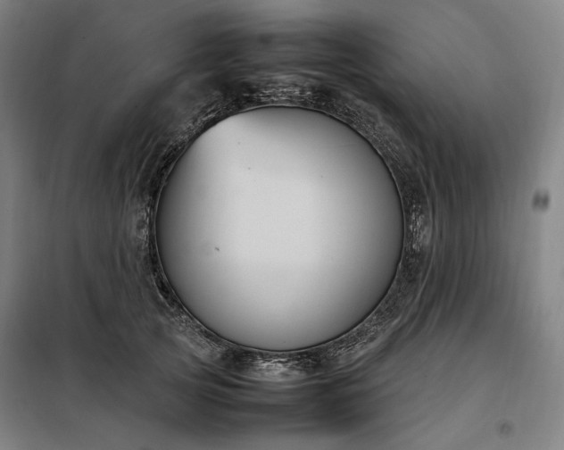 X0000098000753200804021031