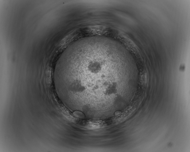 X0000098000757200804021031
