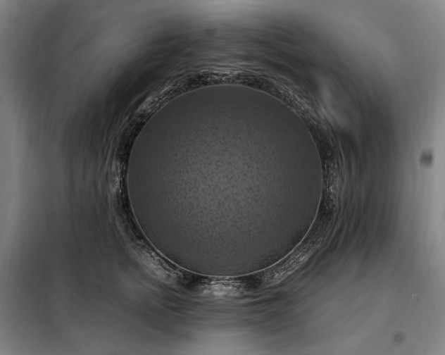 X0000098000758200804021031