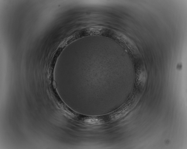 X0000098000759200804021031