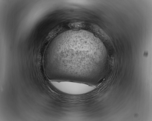 X0000098000760200804021031