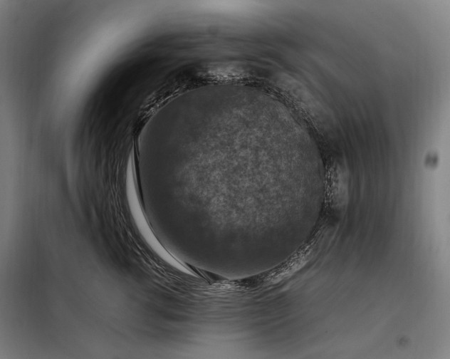 X0000098000762200804021031
