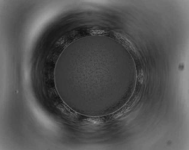 X0000098000763200804021031