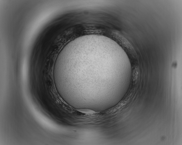 X0000098000764200804021031