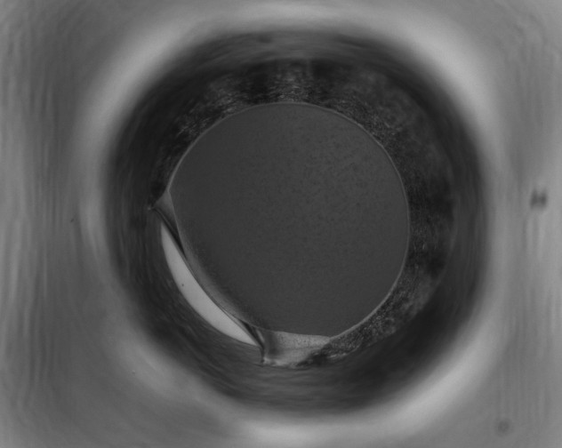 X0000098000766200804021031