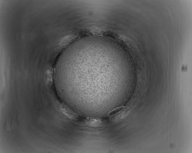 X0000098000768200804021031