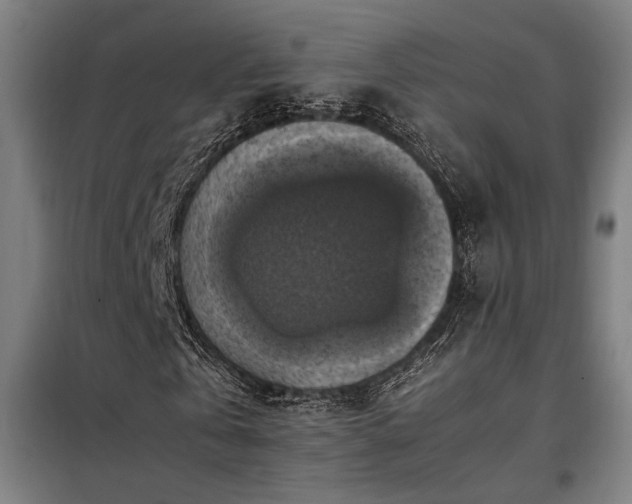 X0000098000769200804021031