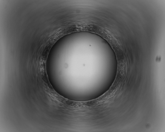X0000098000770200804021031