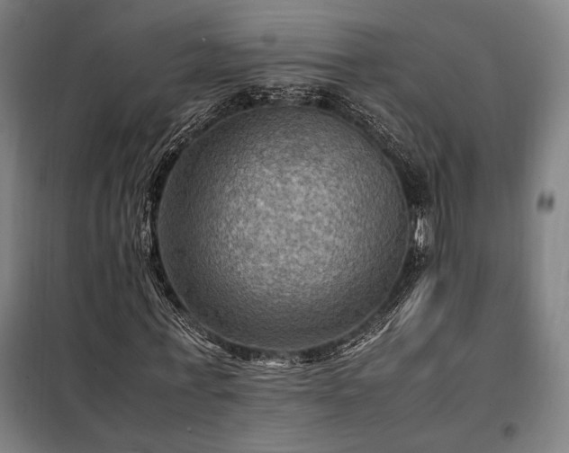 X0000098000771200804021031
