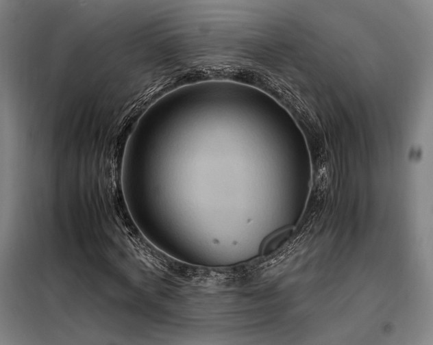 X0000098000772200804021030