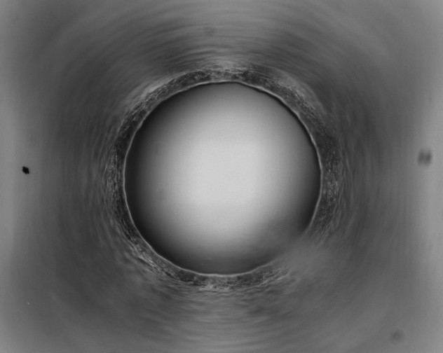 X0000098000773200804021030