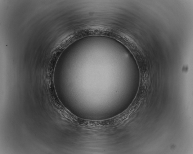 X0000098000774200804021030