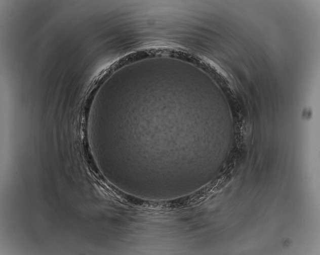 X0000098000775200804021030