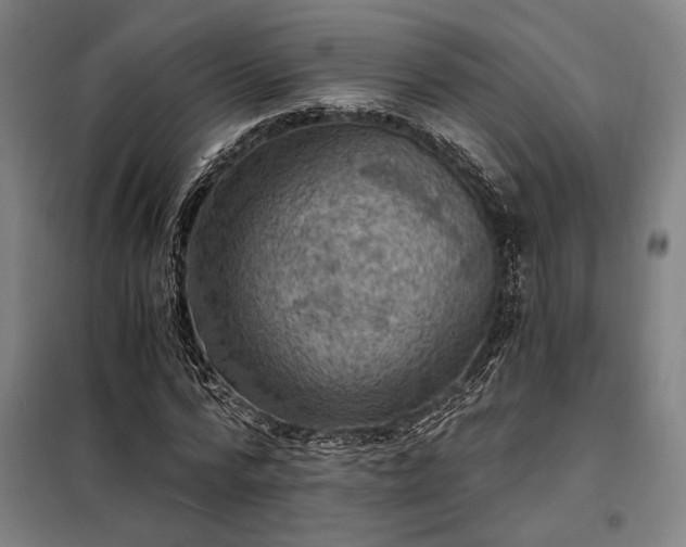X0000098000776200804021030