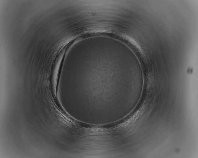 X0000098000777200804021030