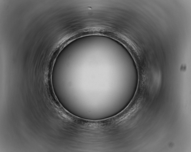 X0000098000778200804021030