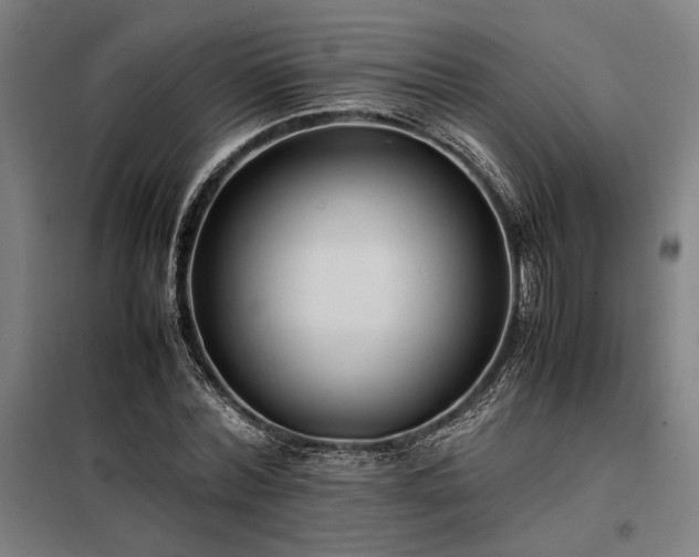 X0000098000780200804021030