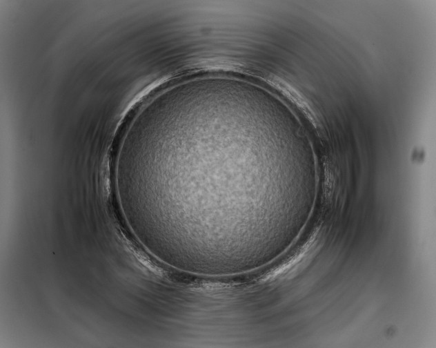 X0000098000782200804021030
