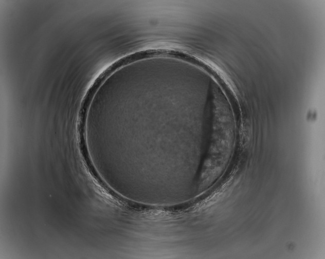 X0000098000783200804021030