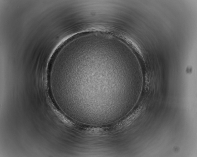X0000098000784200804021030