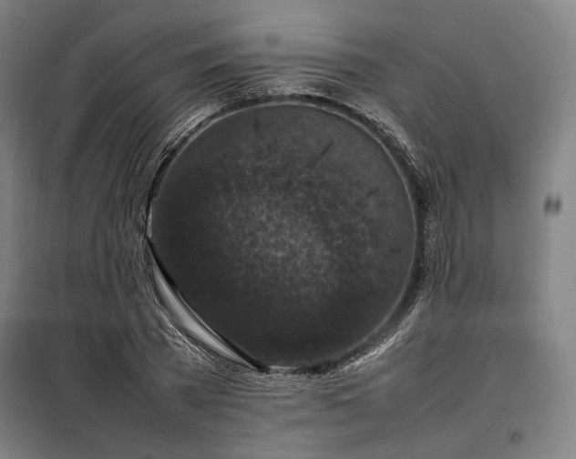 X0000098000785200804021030