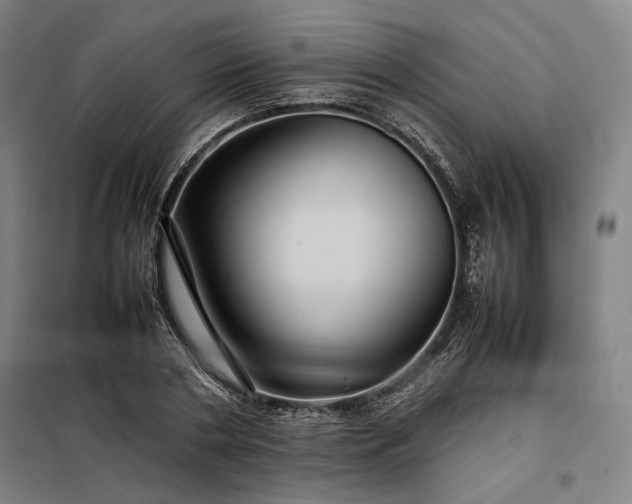 X0000098000786200804021030
